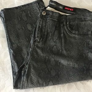 Avenue Pyhthon Print Capri Pants